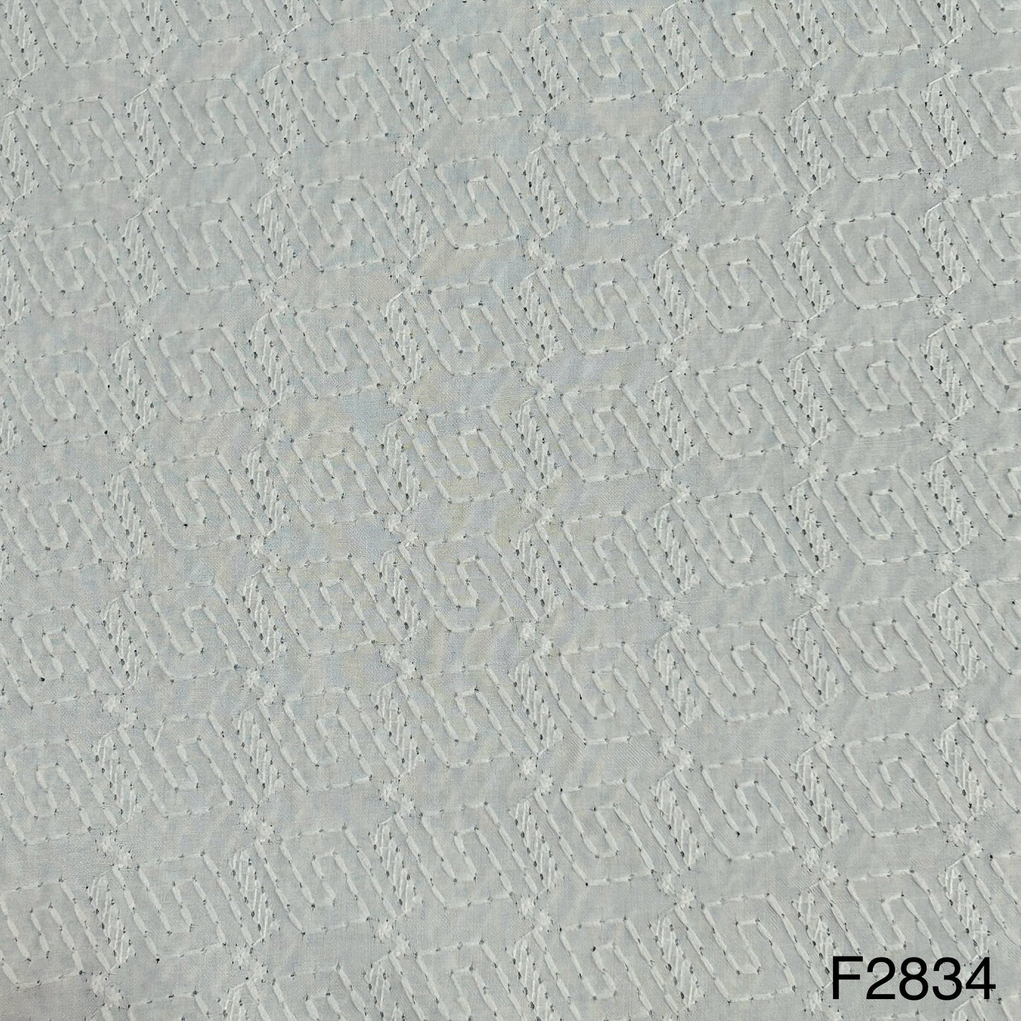 Chikankari Cotton Fabric-F2834