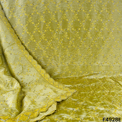 Cut Dana Thread Embroidered Simmer Tissue Fabric-F4928