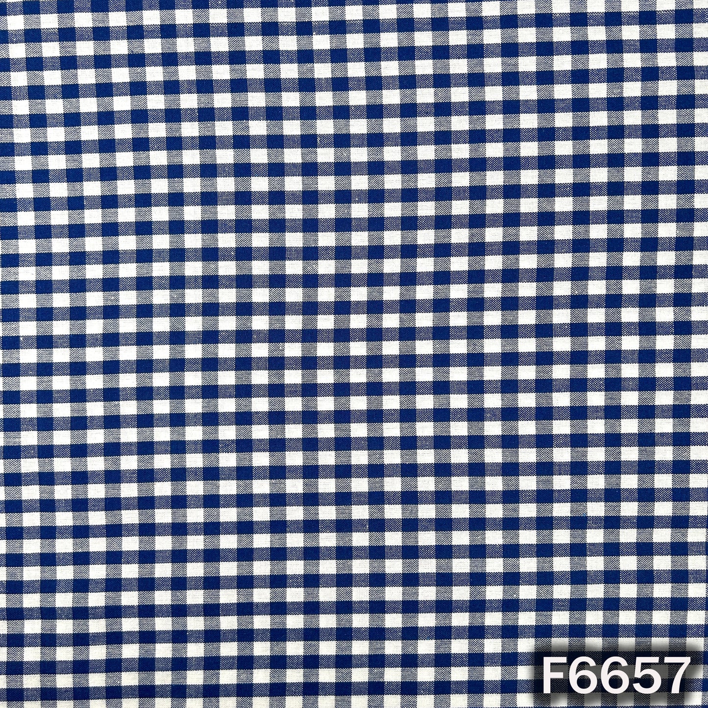 Check Casement Fabric - F6657