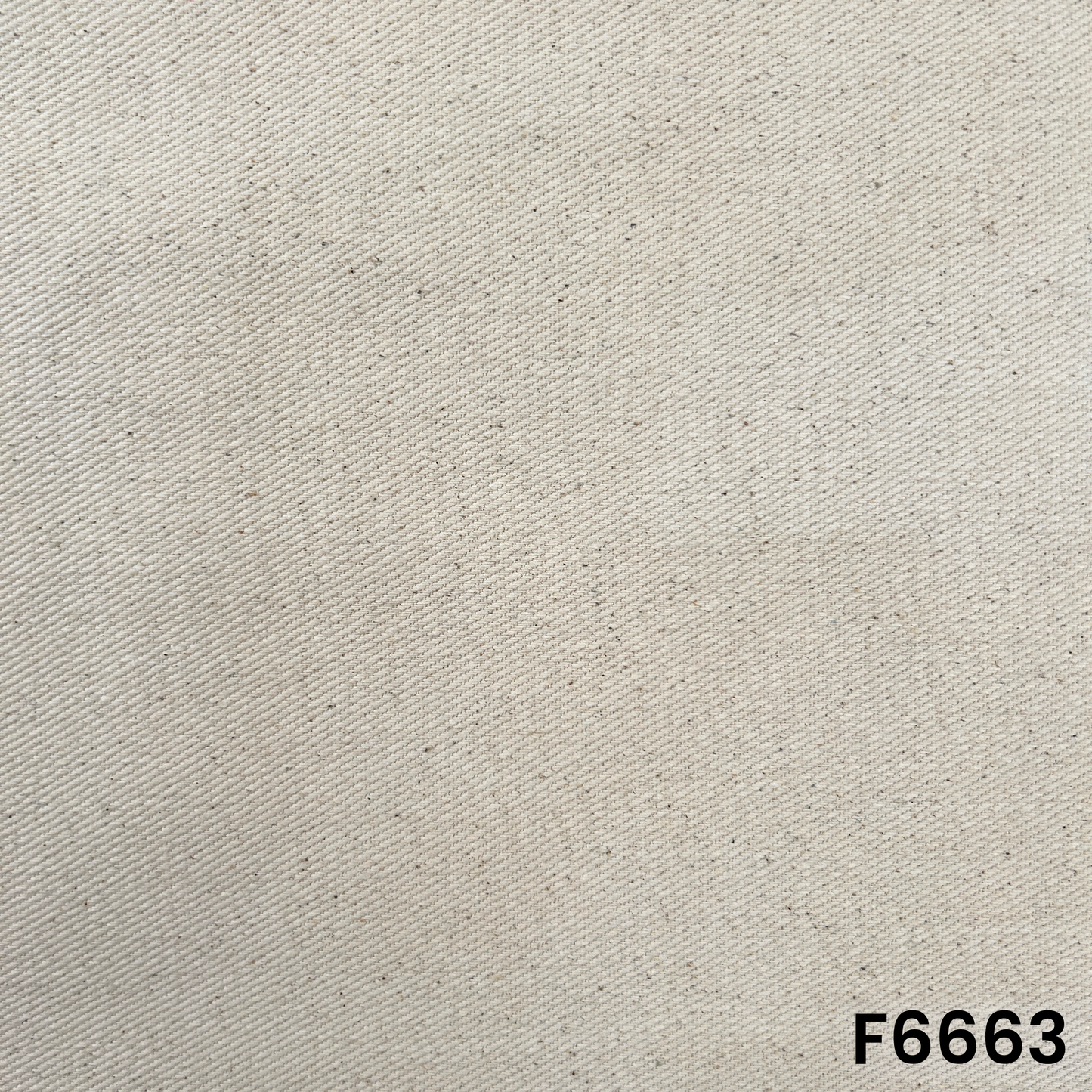 Cotton Canvas Fabric - F6663