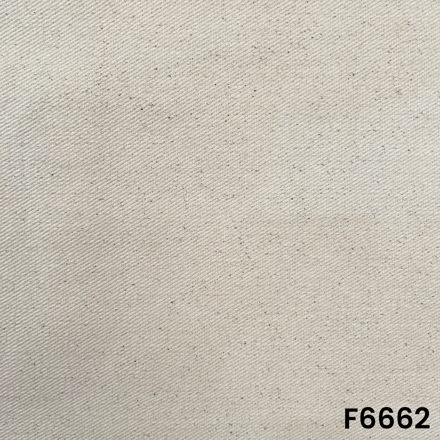 Cotton Canvas Fabric - F6662