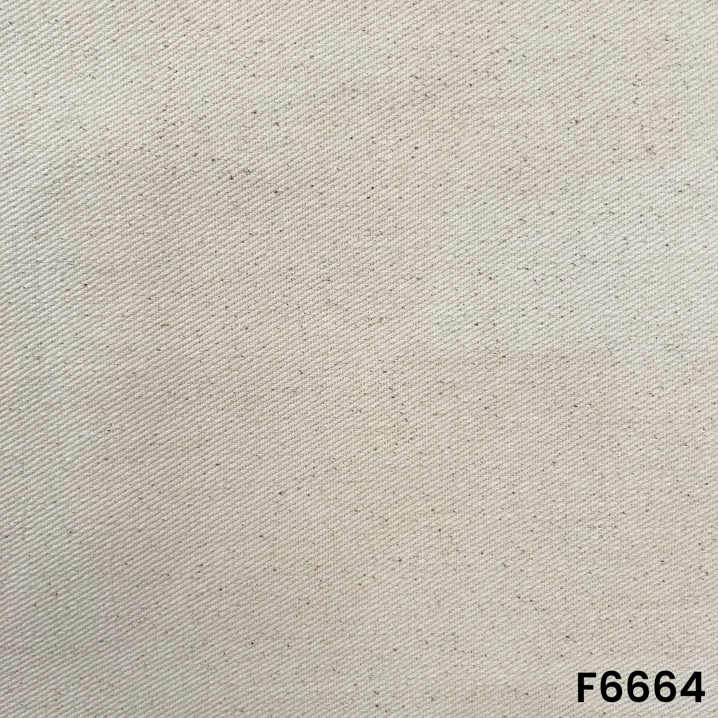Cotton Canvas Fabric - F6664