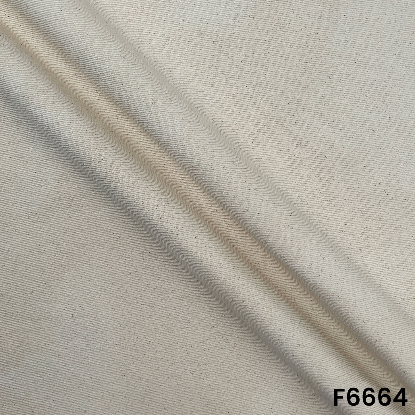Cotton Canvas Fabric - F6664