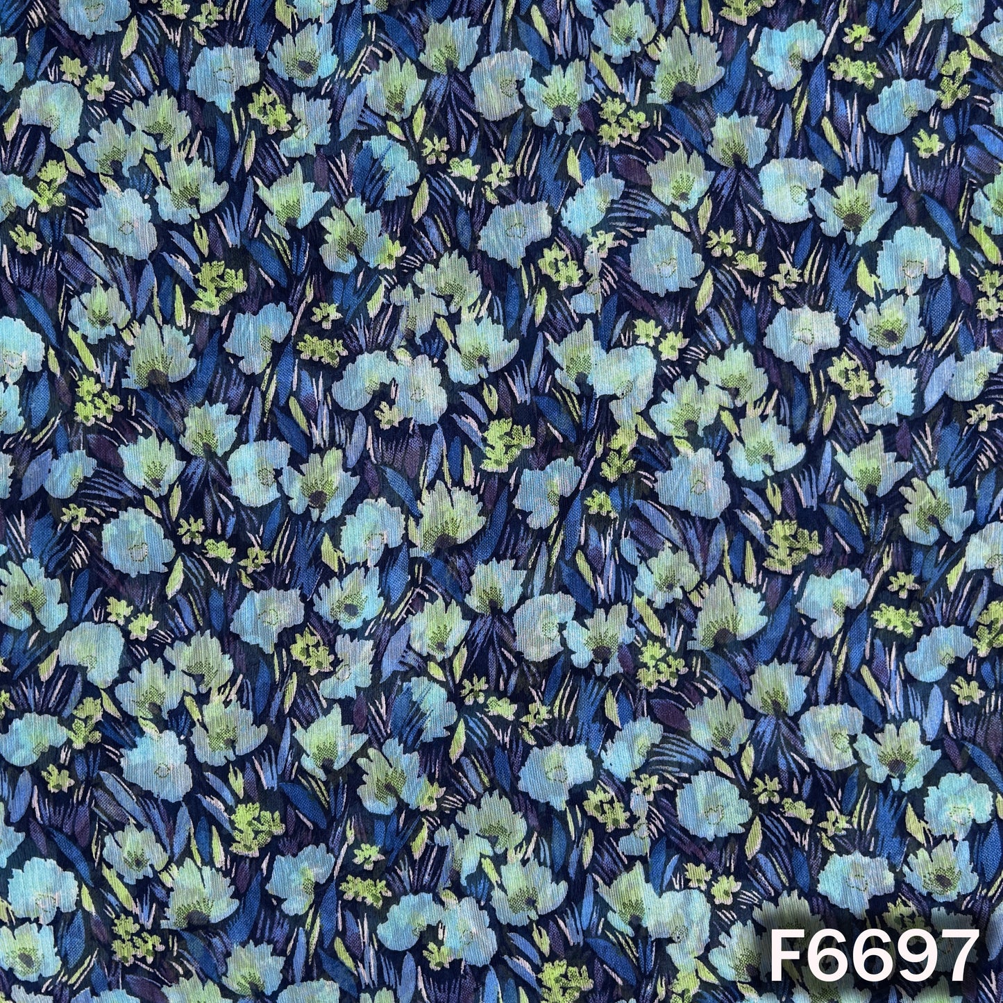 Printed Chinon Chiffon Fabric - F6697