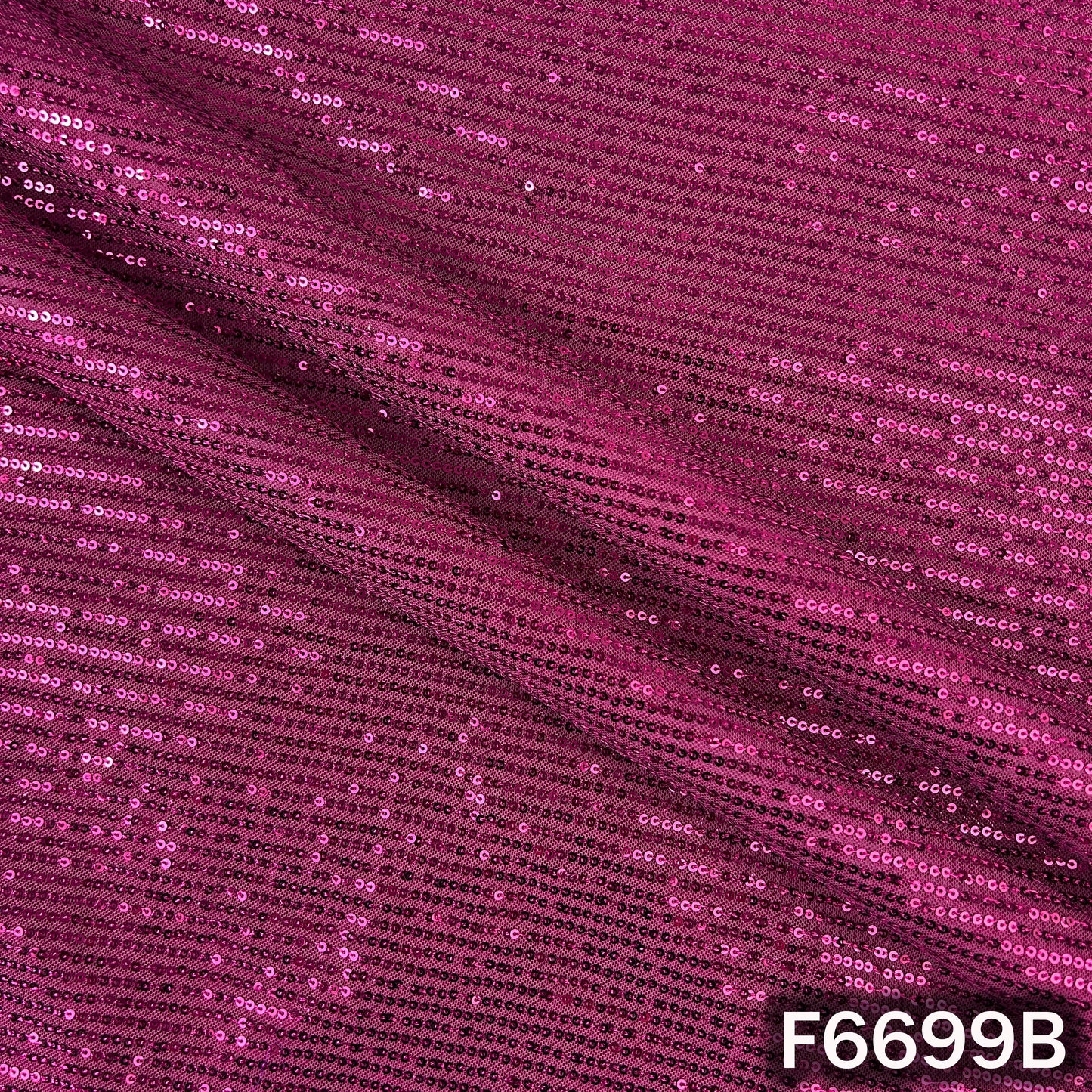 Sequins Lycra Net Fabric - F6699