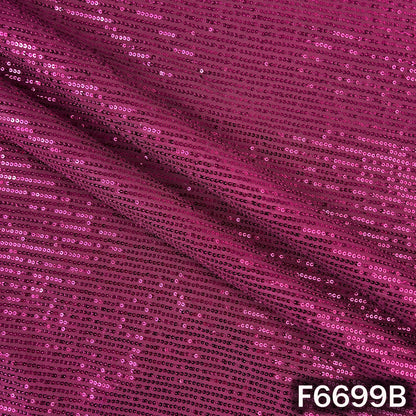 Sequins Lycra Net Fabric - F6699