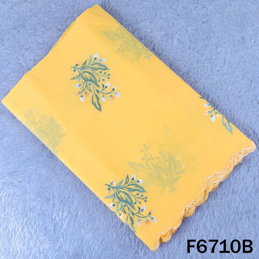 Thread Embroidered Cotton Fabric - F6710