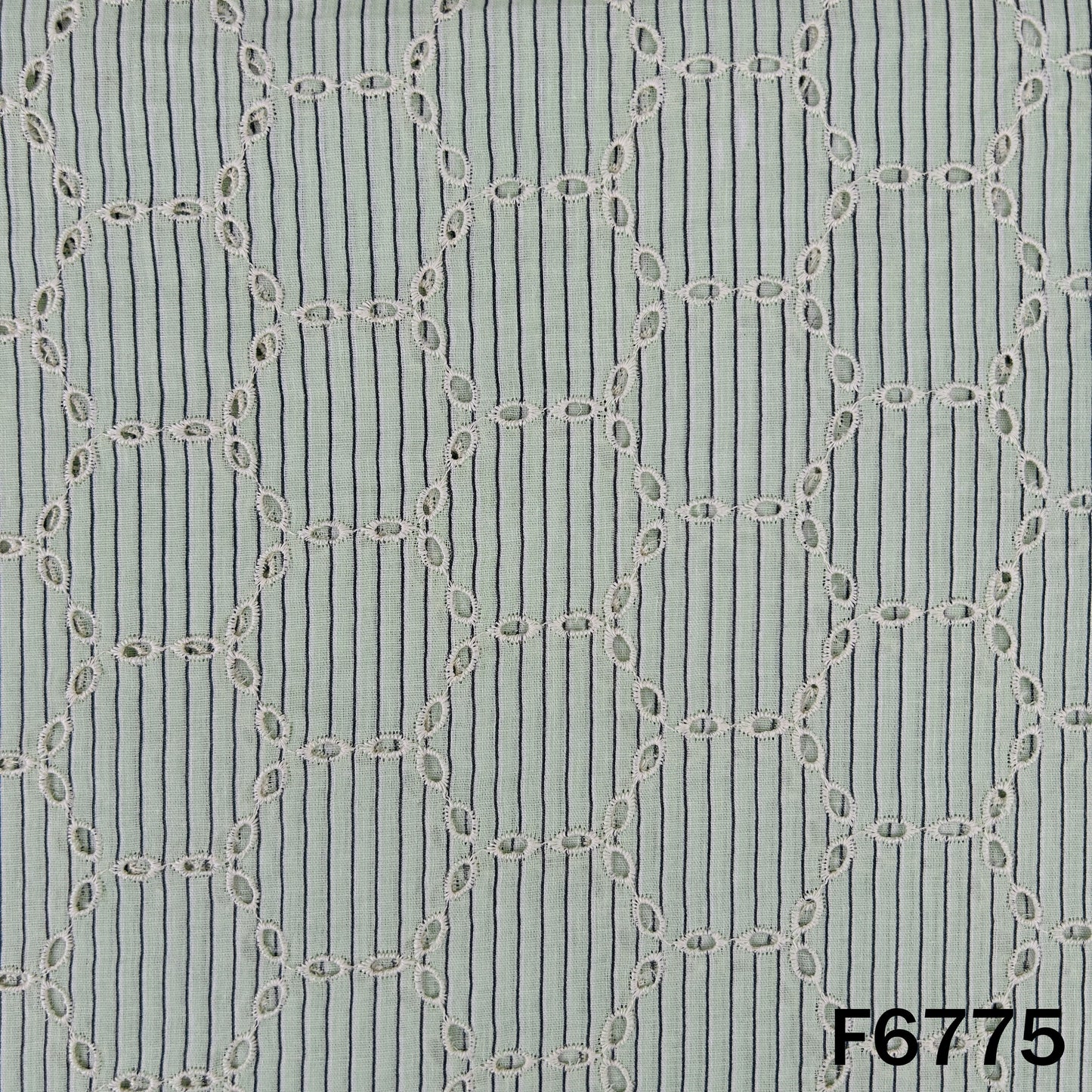 Stripe Hokaba Cambric Cotton Fabric - F6775