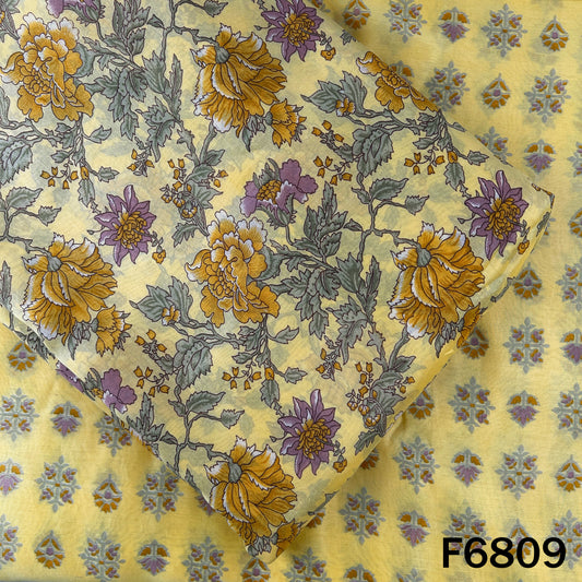 Printed Tussar Chanderi Fabric - F6809