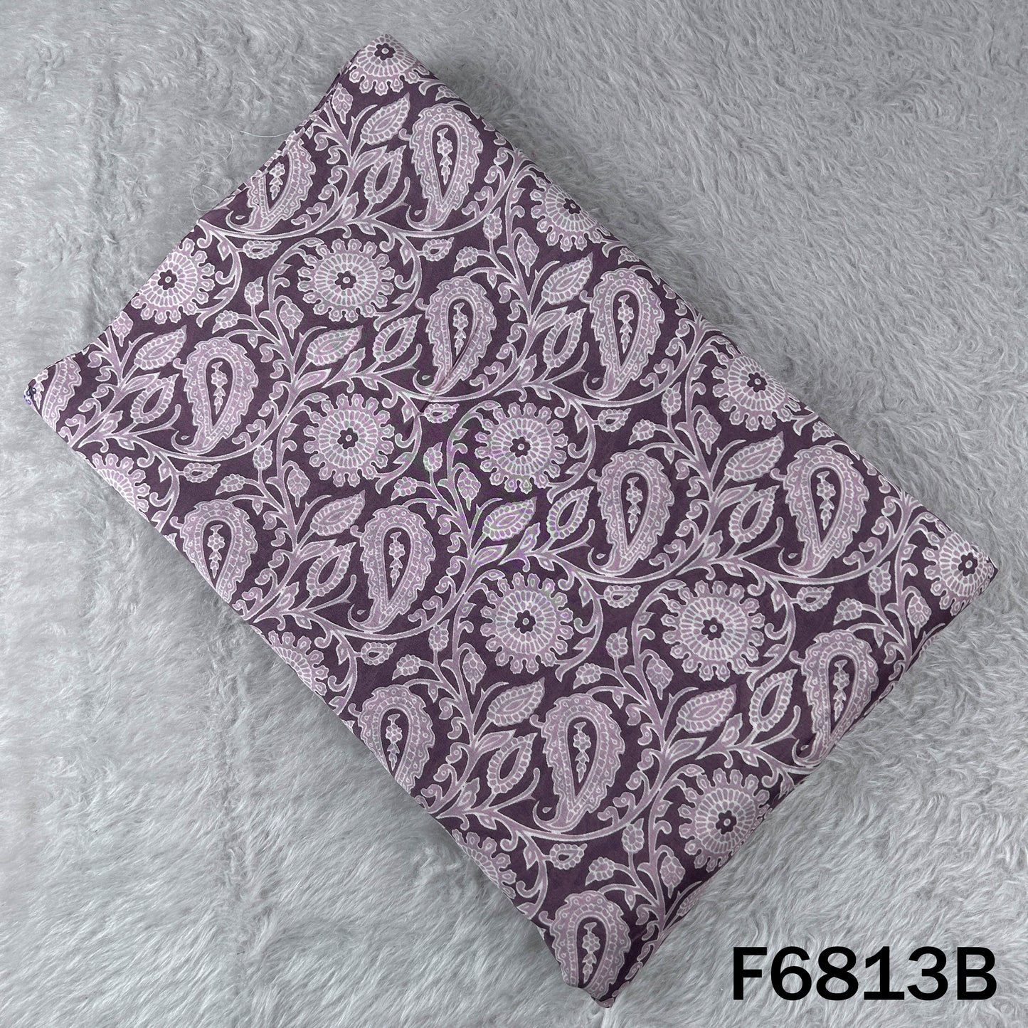 Printed Tussar Chanderi Fabric - F6813