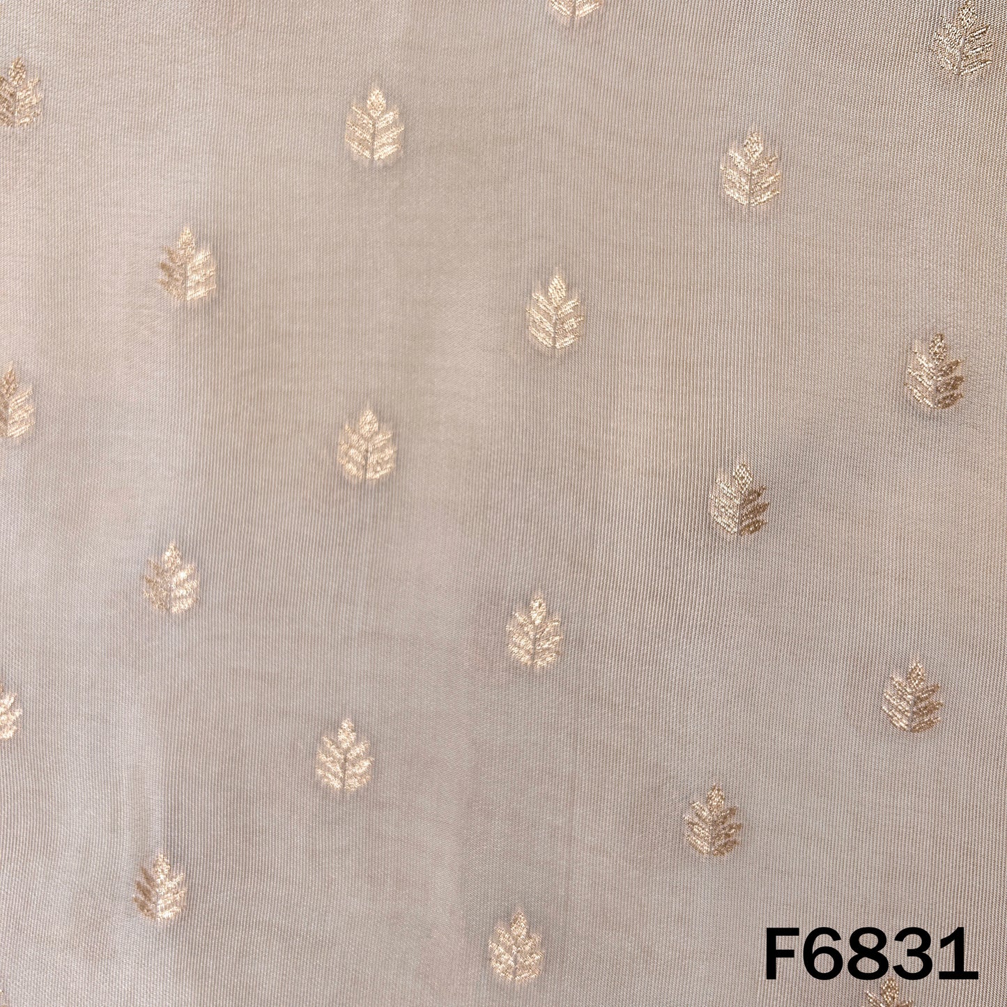 Dyeable Zari Work Shimmer Tissue Fabric - F6831