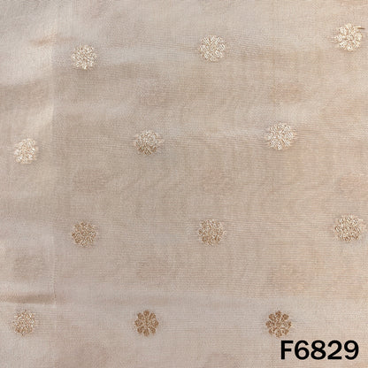 Dyeable Zari Work Shimmer Tissue Fabric - F6829