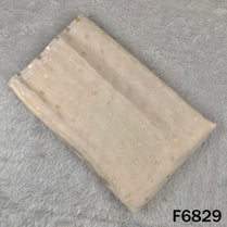 Dyeable Zari Work Shimmer Tissue Fabric - F6829