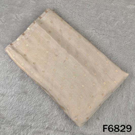 Dyeable Zari Work Shimmer Tissue Fabric - F6829