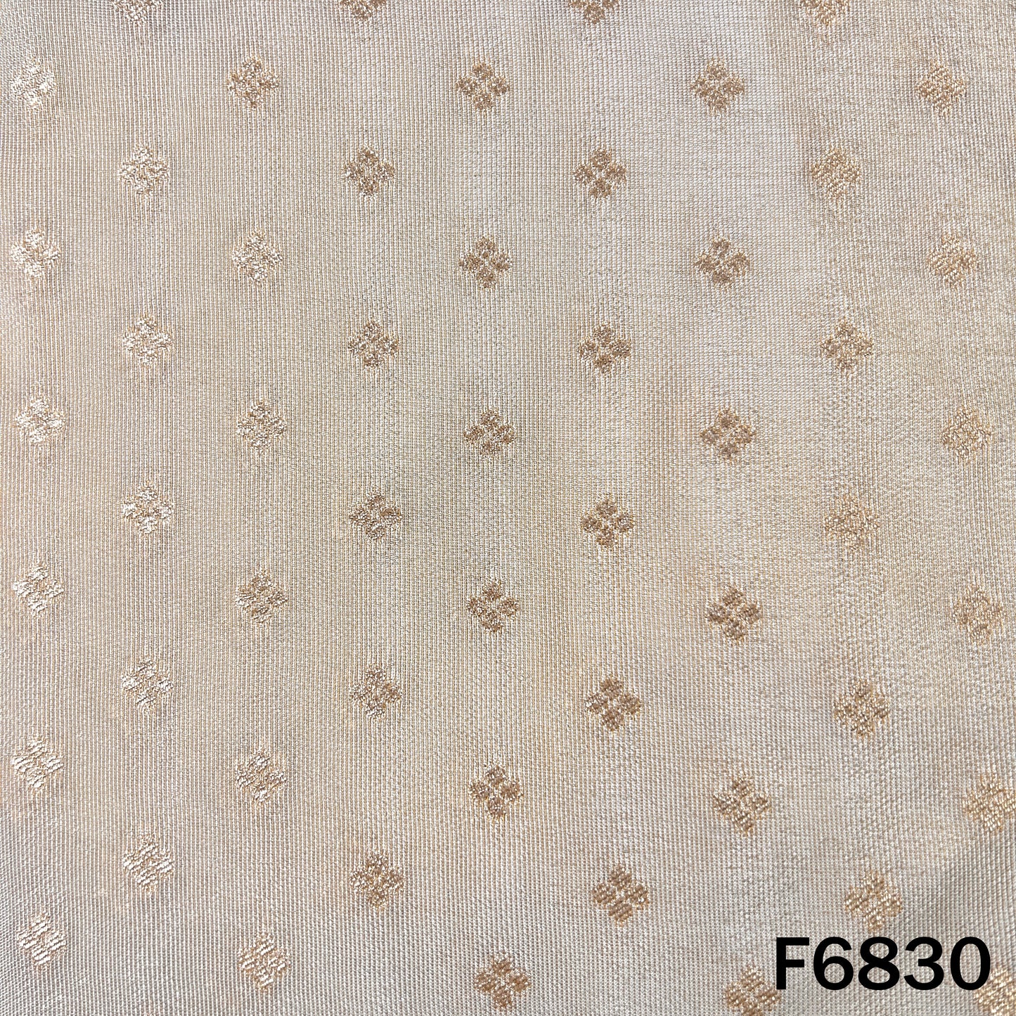 Dyeable Zari Work Shimmer Tissue Fabric - F6830